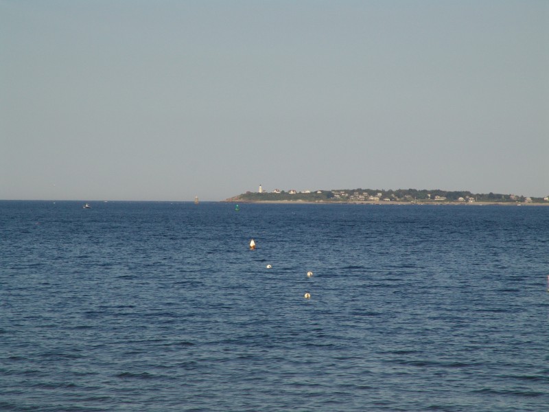 080618-010.jpg  (83.2 Kb)