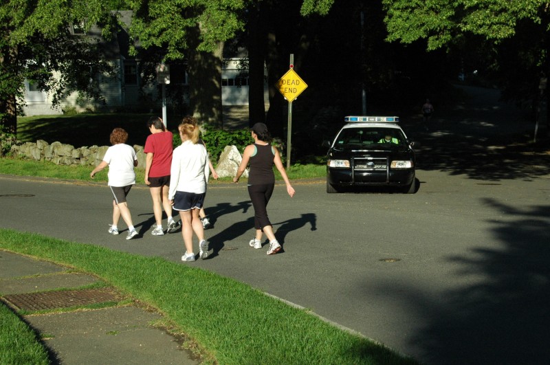 080618-020.jpg  (118.6 Kb)