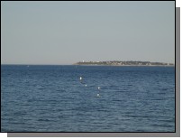 080618-010.jpg  (83.2 Kb)