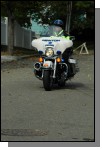081019-145.jpg  (73.3 Kb)