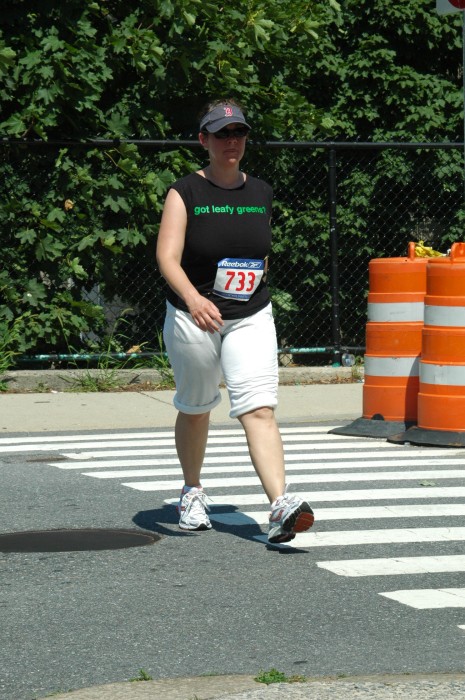 080713-370.jpg  (112.7 Kb)