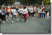 081013-0225.jpg  (127.5 Kb)