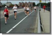 081013-0379.jpg  (95.3 Kb)