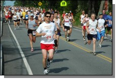 090516-0075.jpg  (112.5 Kb)