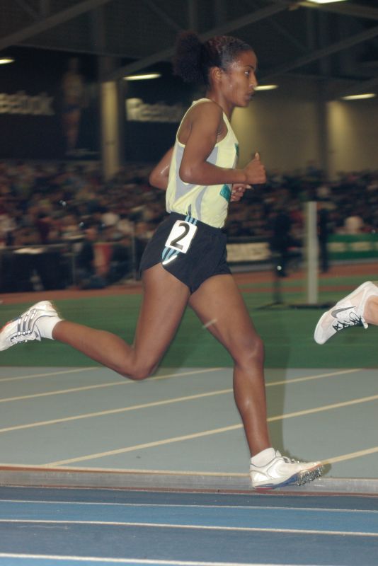 22W5000M0282.jpg  (105.4 Kb)