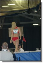 06WPV0096Larsaasen.jpg  (96.9 Kb)
