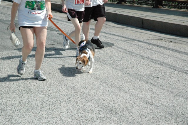 DSC_9037.jpg  (101.8 Kb)