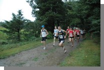 DSC_2600.jpg  (133.0 Kb)
