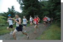 DSC_2601.jpg  (129.2 Kb)