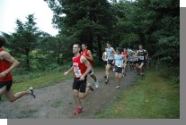 DSC_2603.jpg  (132.8 Kb)