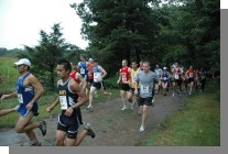 DSC_2608.jpg  (131.6 Kb)