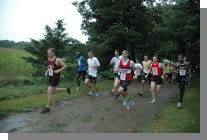 DSC_2610.jpg  (127.8 Kb)