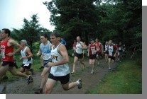 DSC_2615.jpg  (125.9 Kb)