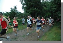 DSC_2617.jpg  (131.9 Kb)