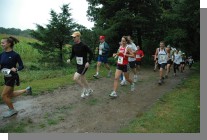 DSC_2627.jpg  (127.7 Kb)