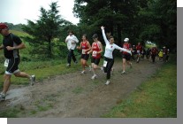 DSC_2633.jpg  (126.9 Kb)