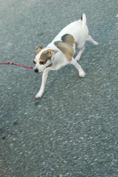 090709-435.jpg  (71.3 Kb)
