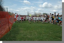 DSC_5558.jpg  (109.4 Kb)