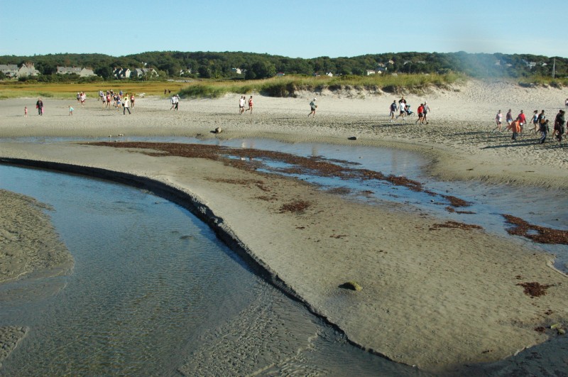 090920-017.jpg  (120.0 Kb)