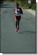 090920-238.jpg  (64.0 Kb)