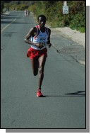 090920-239.jpg  (64.2 Kb)
