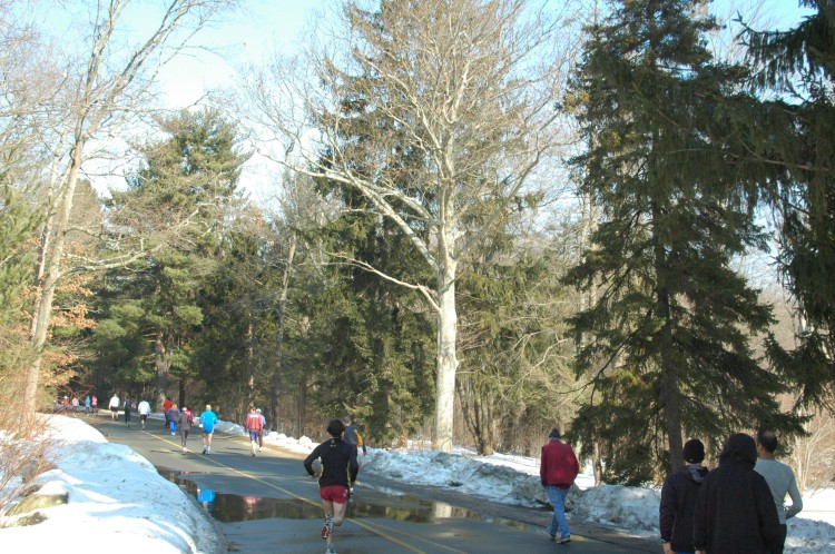 090208-012.jpg  (148.5 Kb)
