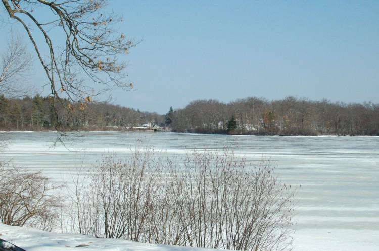 090208-014.jpg  (102.0 Kb)