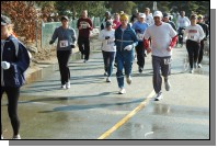 090208-093.jpg  (130.3 Kb)