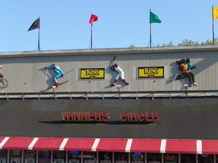 090513-Roses010.jpg  (92.0 Kb)