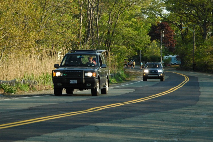 090513-Roses012.jpg  (127.6 Kb)