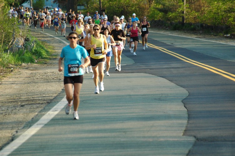 090513-Roses019.jpg  (102.1 Kb)