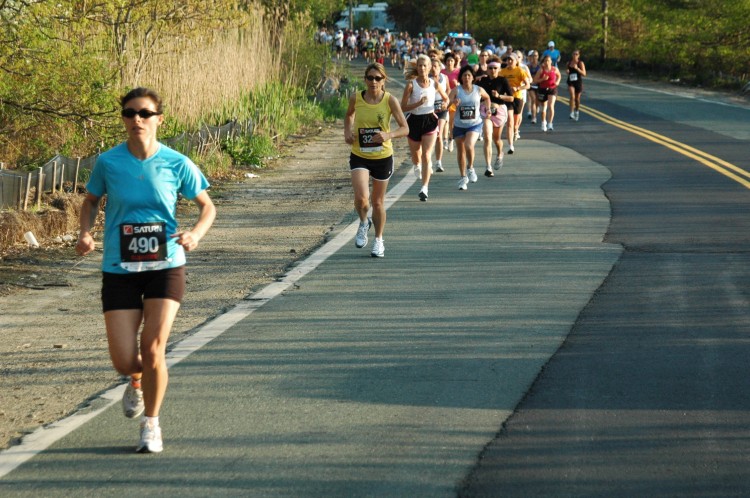 090513-Roses020.jpg  (116.6 Kb)