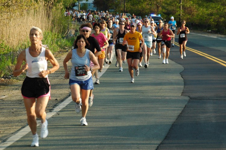 090513-Roses022.jpg  (111.9 Kb)