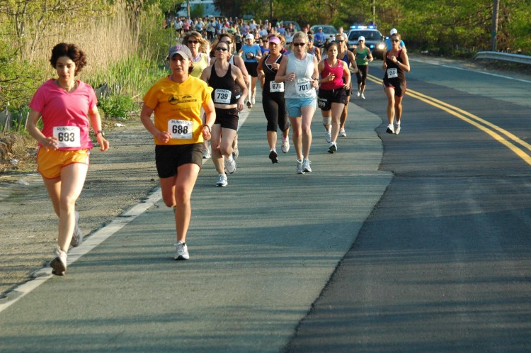 090513-Roses025.jpg  (112.6 Kb)