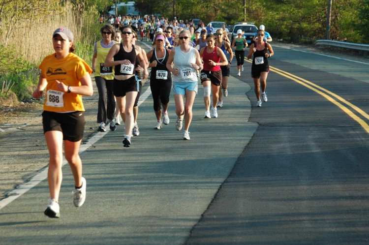 090513-Roses026.jpg  (113.4 Kb)