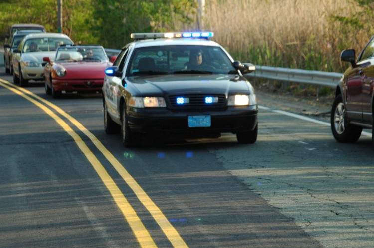 090513-Roses035.jpg  (90.0 Kb)