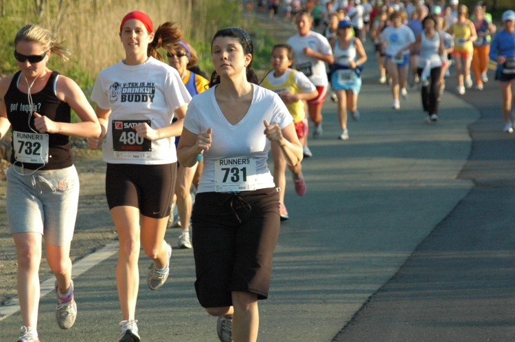 090513-Roses038.jpg  (91.3 Kb)