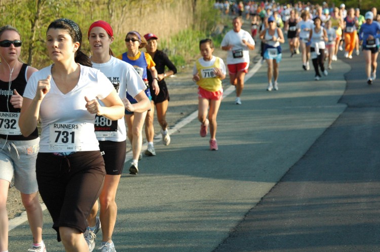 090513-Roses039.jpg  (95.7 Kb)