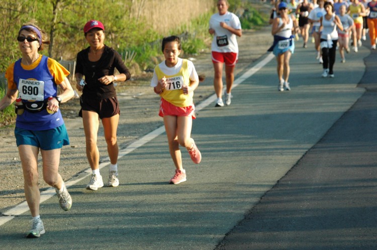 090513-Roses041.jpg  (100.6 Kb)