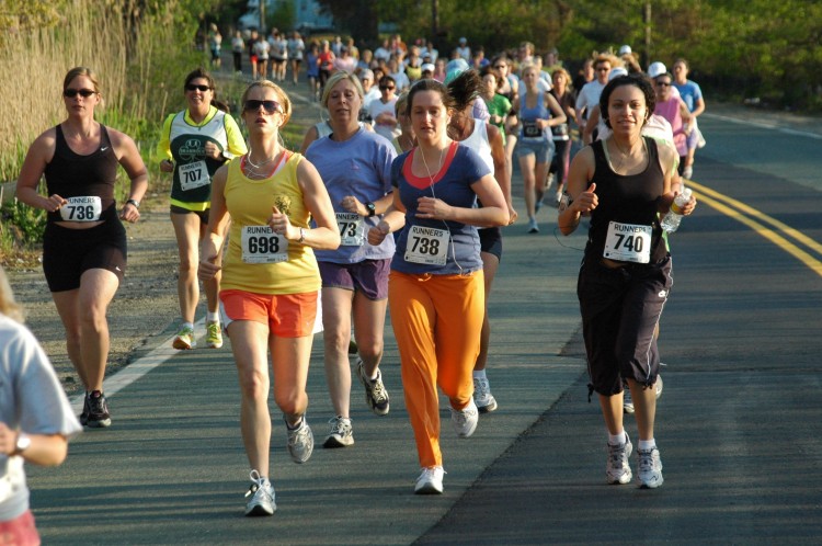 090513-Roses047.jpg  (108.1 Kb)