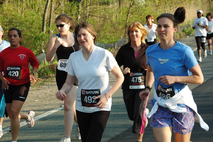 090513-Roses060.jpg  (112.4 Kb)