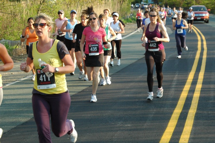 090513-Roses073.jpg  (109.2 Kb)