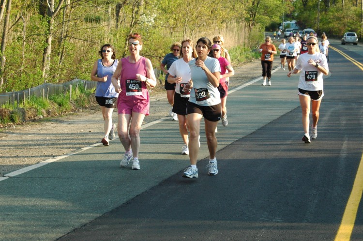 090513-Roses085.jpg  (123.7 Kb)