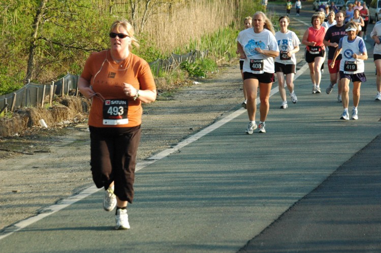 090513-Roses090.jpg  (119.7 Kb)