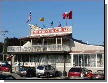 090513-Roses001.jpg  (103.6 Kb)