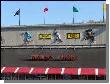 090513-Roses010.jpg  (92.0 Kb)