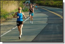 090513-Roses015.jpg  (106.3 Kb)