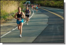 090513-Roses016.jpg  (109.1 Kb)