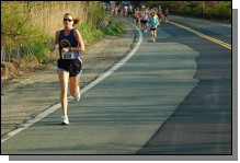 090513-Roses017.jpg  (108.1 Kb)