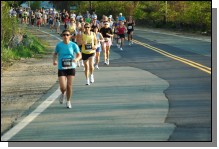 090513-Roses019.jpg  (102.1 Kb)